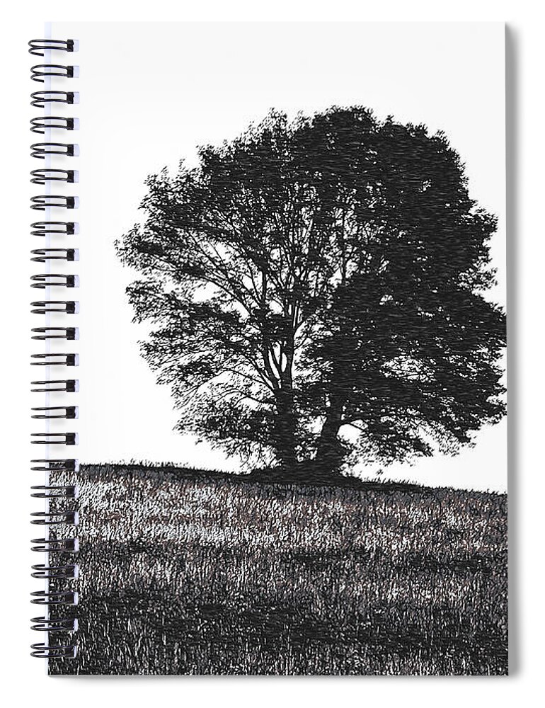 Richard Reeve Spiral Notebook featuring the photograph Silhouette Summer Tree by Richard Reeve