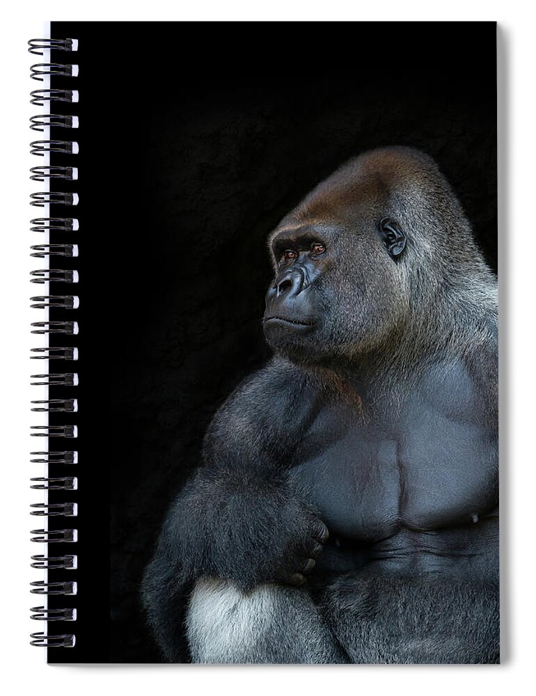 Animal Themes Spiral Notebook featuring the photograph Silverback Gorilla Portrait In Profile by Haydn Bartlett Photography