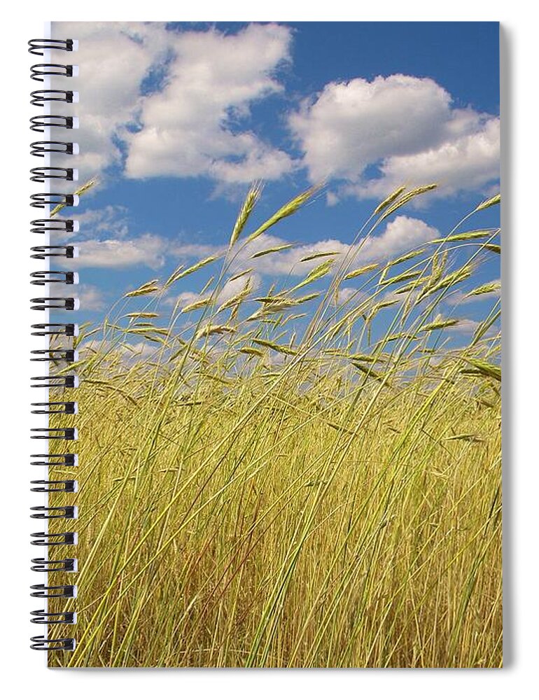 Field Spiral Notebook featuring the photograph Simple Moments On The Farm by Matthew Seufer