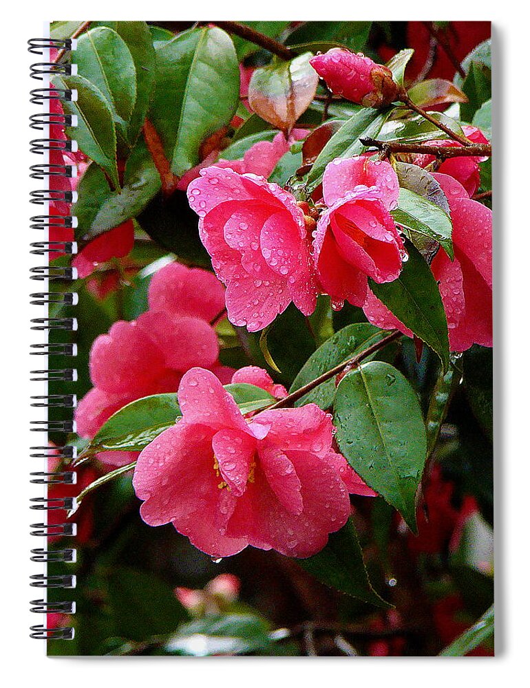 Fine Art Spiral Notebook featuring the photograph Simple Pleasure by Rodney Lee Williams