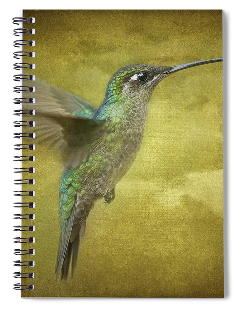 Magnificent Hummingbird Spiral Notebook featuring the photograph Simply Magnificent.. by Nina Stavlund