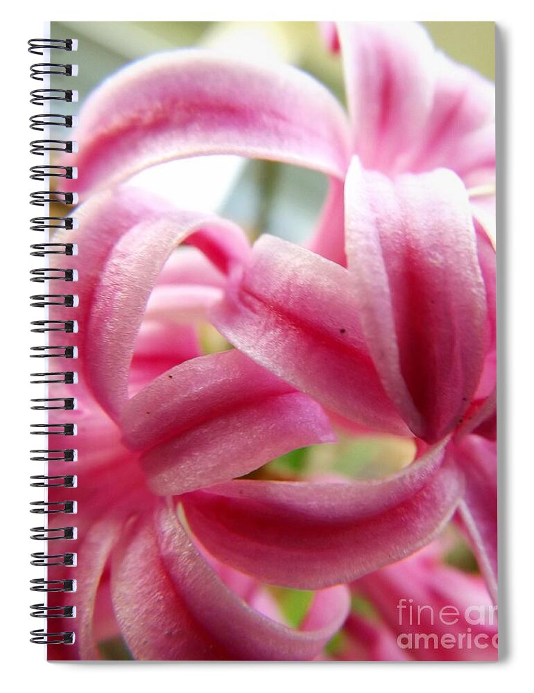 Flower Spiral Notebook featuring the photograph Simply Yours by Robyn King