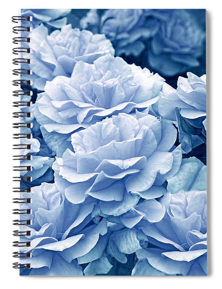 Rose Spiral Notebook featuring the photograph Singing the Blues in the Rose Flower Garden by Jennie Marie Schell