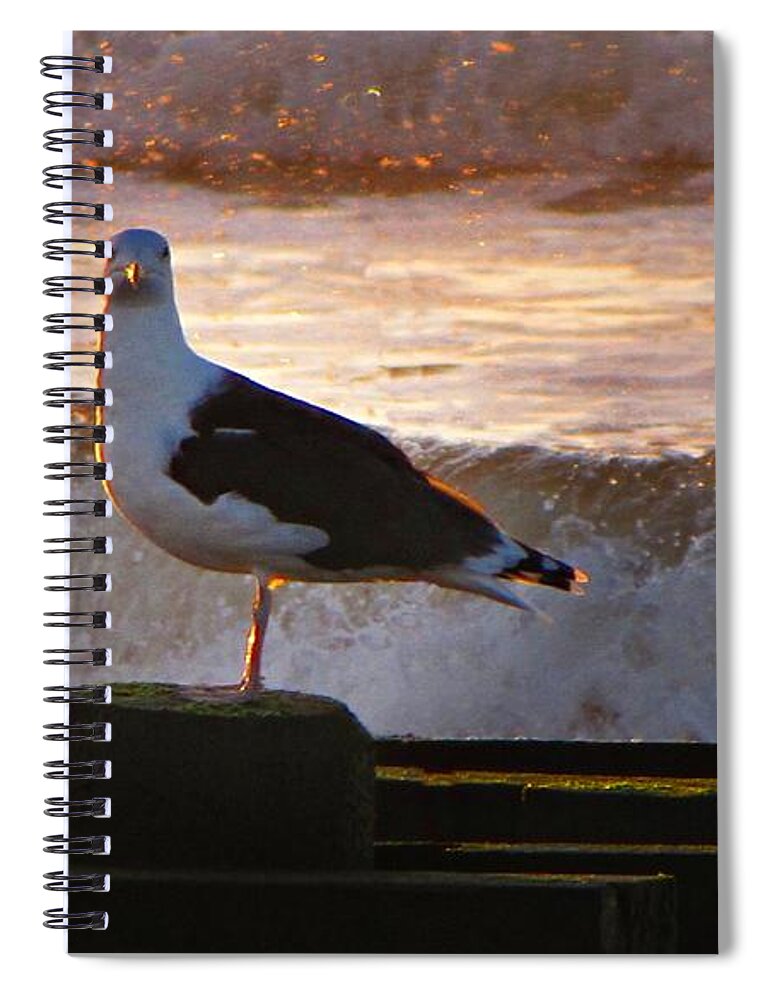 Beach Spiral Notebook featuring the photograph Sittin On The Dock Of The Bay by David Dehner