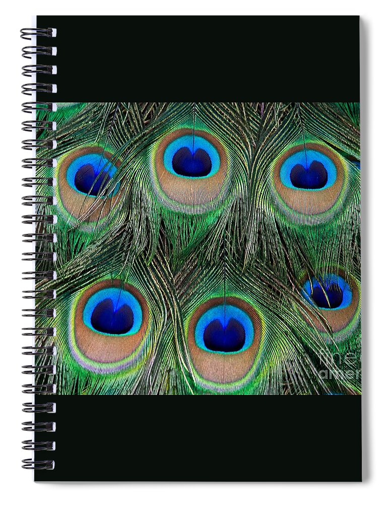 Peacock Spiral Notebook featuring the photograph Six Eyes by Sabrina L Ryan