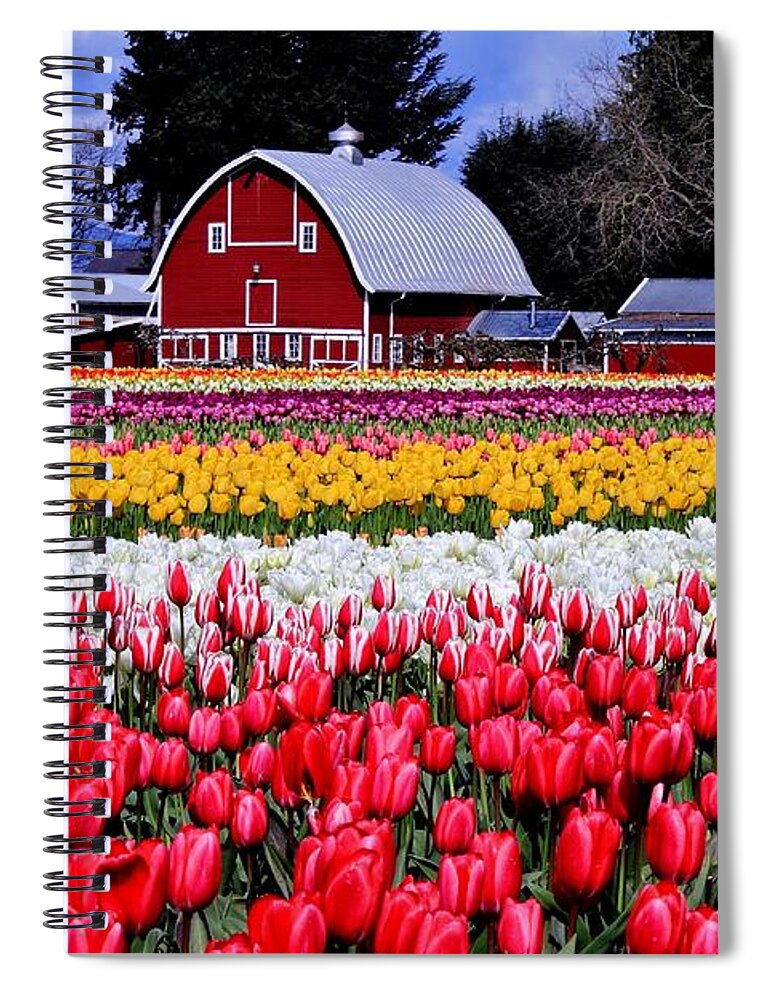 Tulips Spiral Notebook featuring the photograph Skagit Valley by Benjamin Yeager