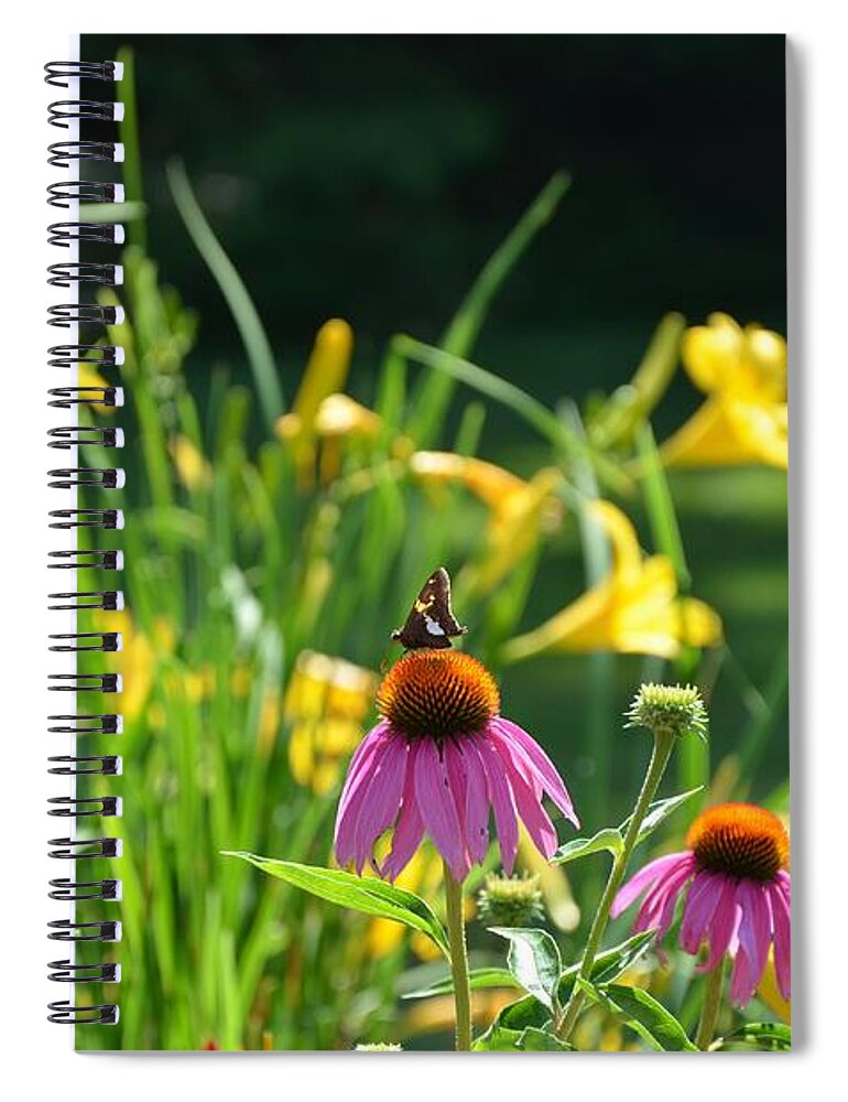 Butterflies Spiral Notebook featuring the photograph Skipper in the Flowers by Kristin Hatt