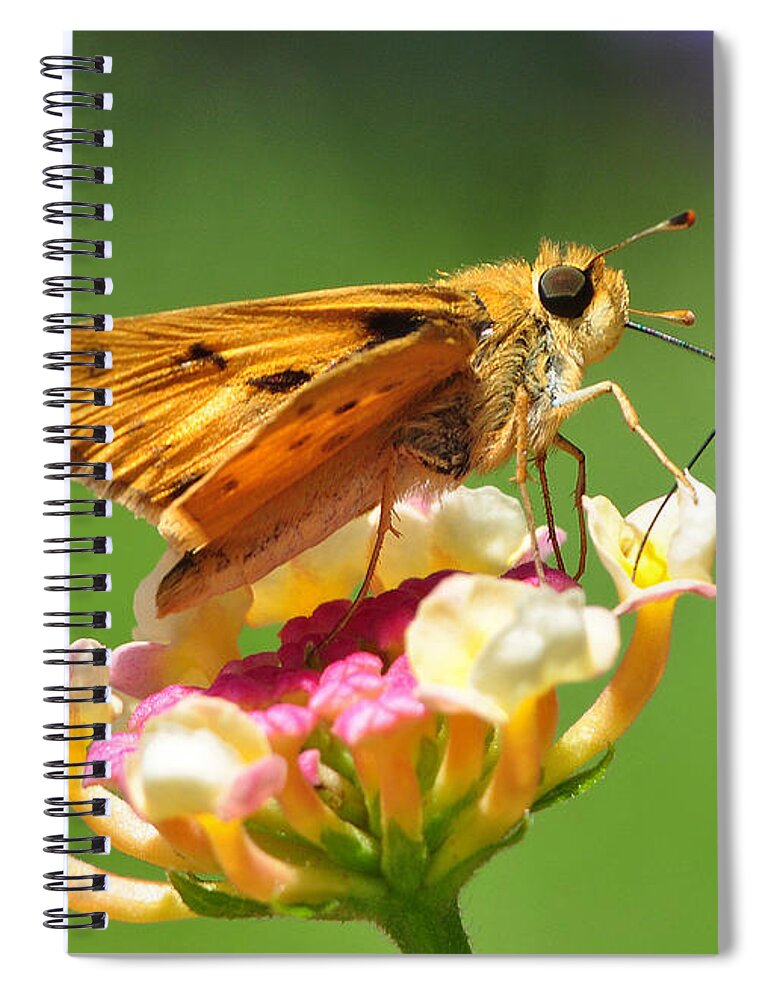 Butterfly Spiral Notebook featuring the photograph Skipper On Lantana by Kathy Baccari
