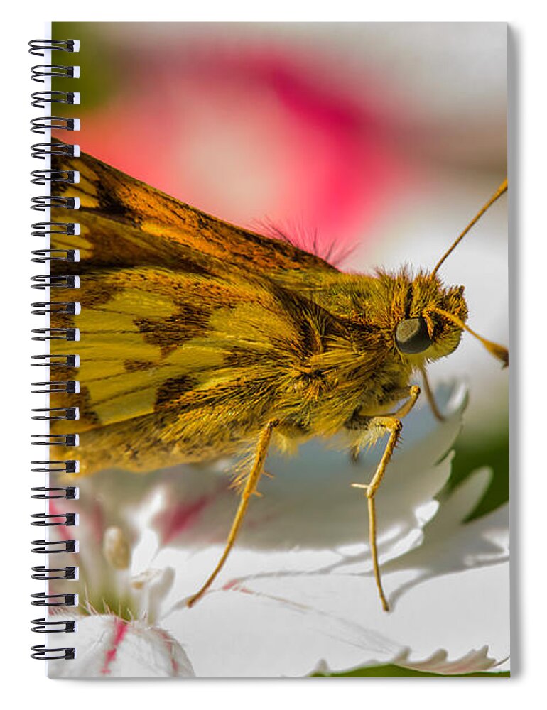 Nature Spiral Notebook featuring the photograph Skipper by Robert Mitchell