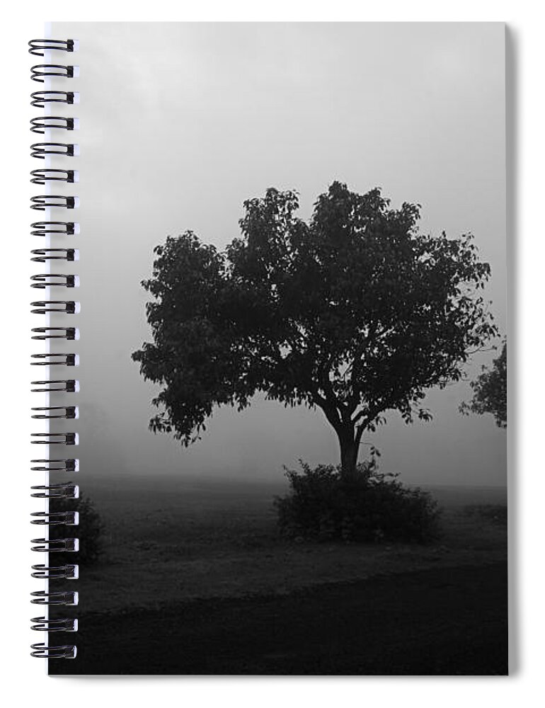 Fog Spiral Notebook featuring the photograph SKC 0074 A family of trees by Sunil Kapadia
