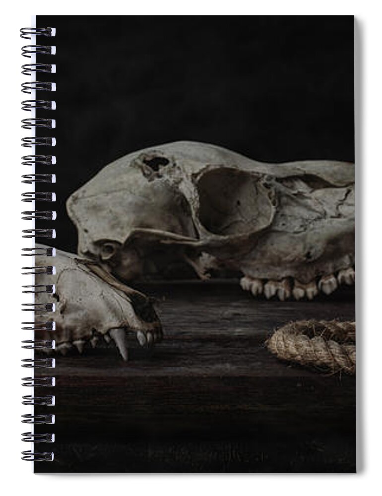 Skull Spiral Notebook featuring the photograph Skulls with Rope by Everet Regal