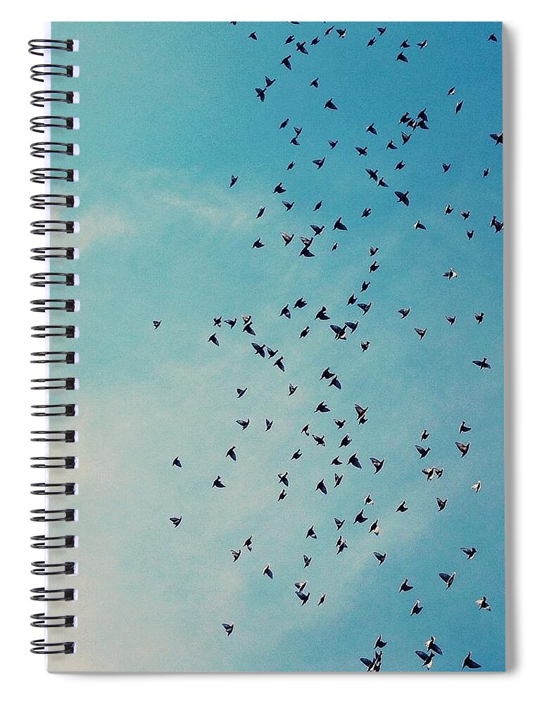 Songbird Spiral Notebook featuring the photograph Skys The Limit by Juj Winn