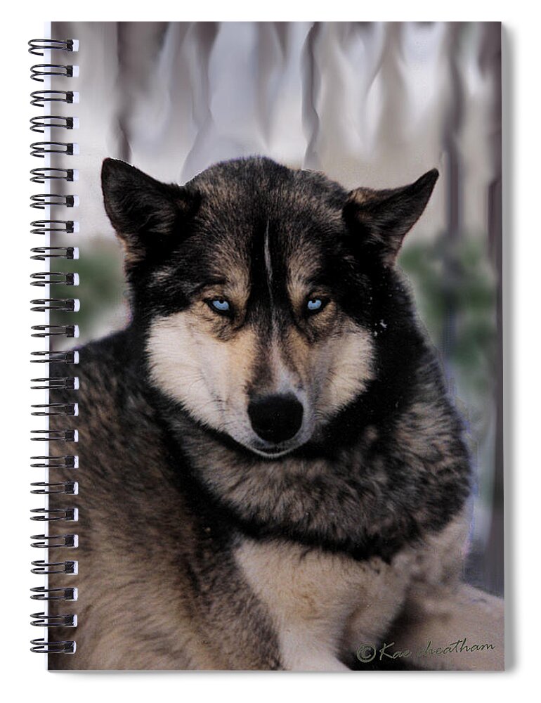 Sled Dog Spiral Notebook featuring the photograph Sled Dog Resting by Kae Cheatham