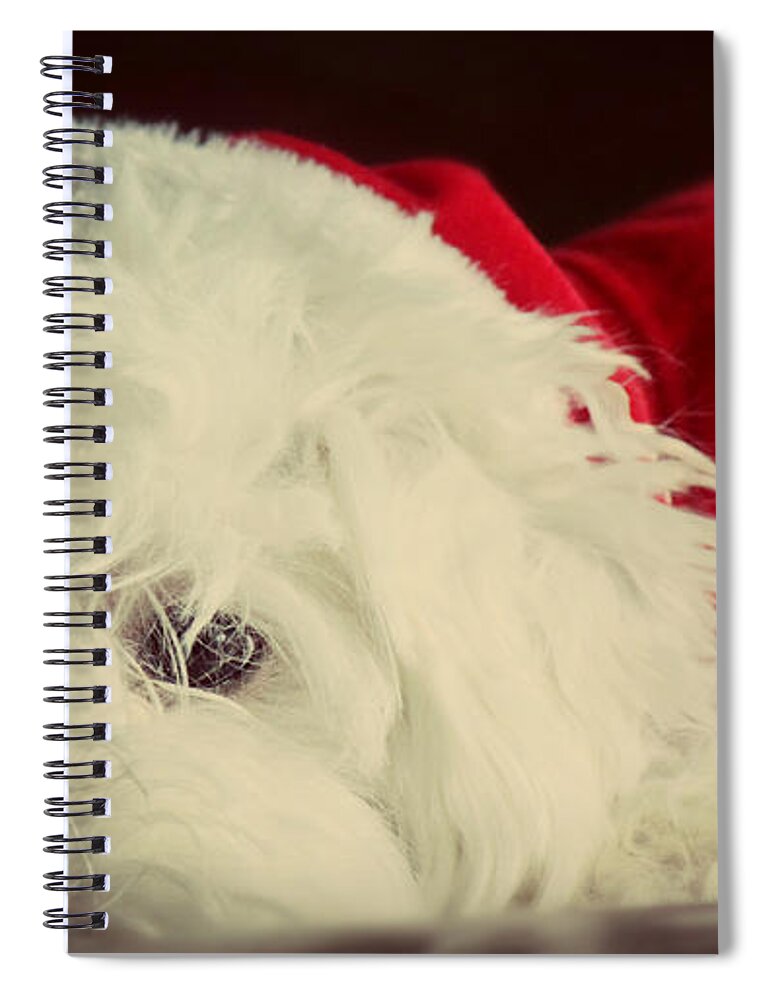 Dog Spiral Notebook featuring the photograph Sleepy Santa by Melanie Lankford Photography