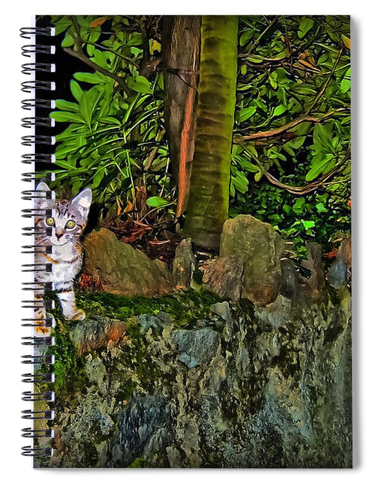 Kitten Spiral Notebook featuring the photograph Slightly Dazzled by Hanny Heim