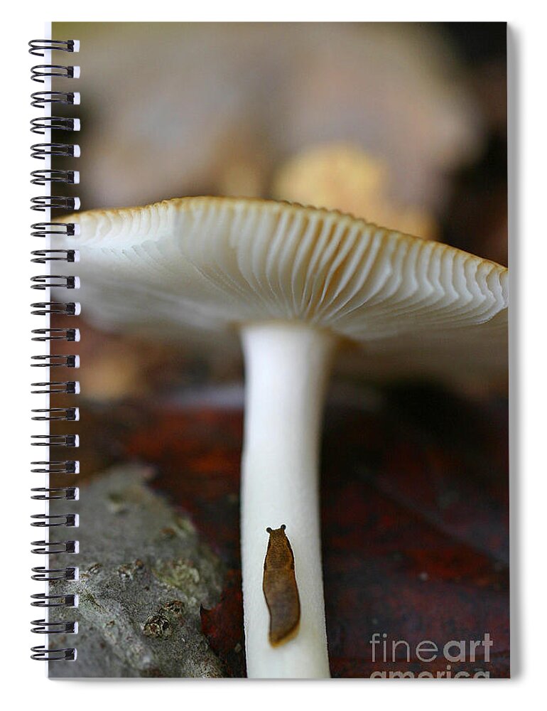 Mushroom Spiral Notebook featuring the photograph Slugs and Mushrooms by David Rucker