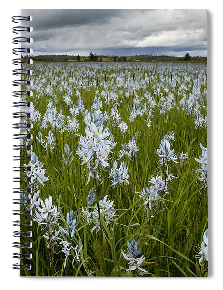 Feb0514 Spiral Notebook featuring the photograph Small Camas Flowers Weippe Prairie Idaho by Michael Durham