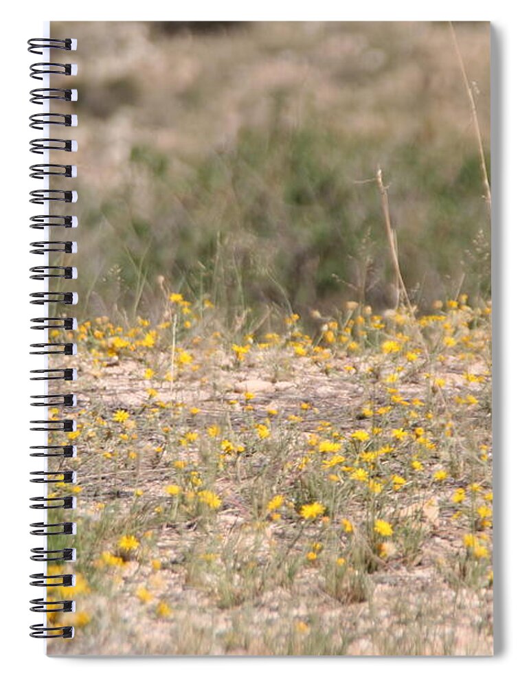 Arizona Spiral Notebook featuring the photograph Small Field by David S Reynolds