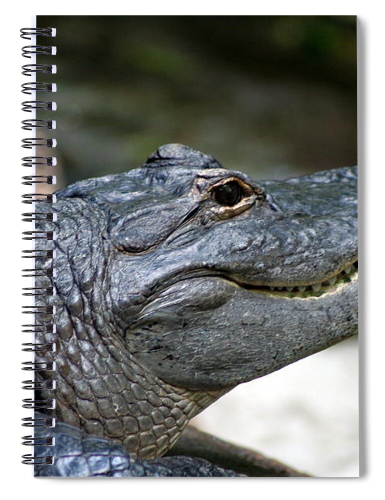 Alligator Spiral Notebook featuring the photograph Smiling Alligator by Valerie Collins