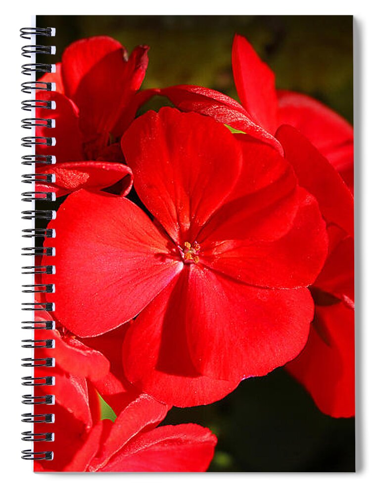 Red Spiral Notebook featuring the photograph Smiling Beauties by Milena Ilieva