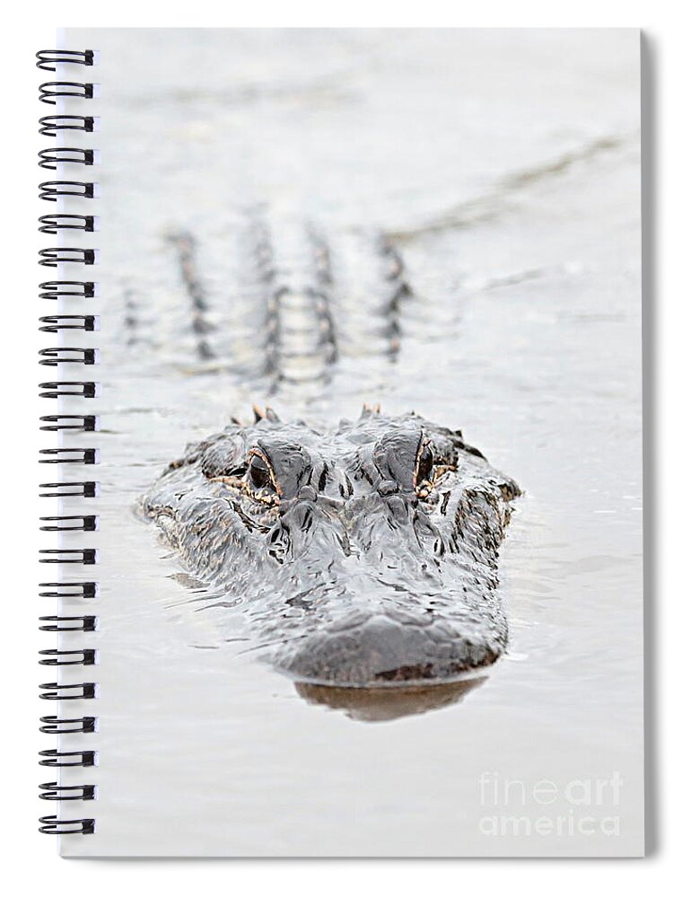 Alligator Spiral Notebook featuring the photograph Sneaky Swamp Gator by Carol Groenen