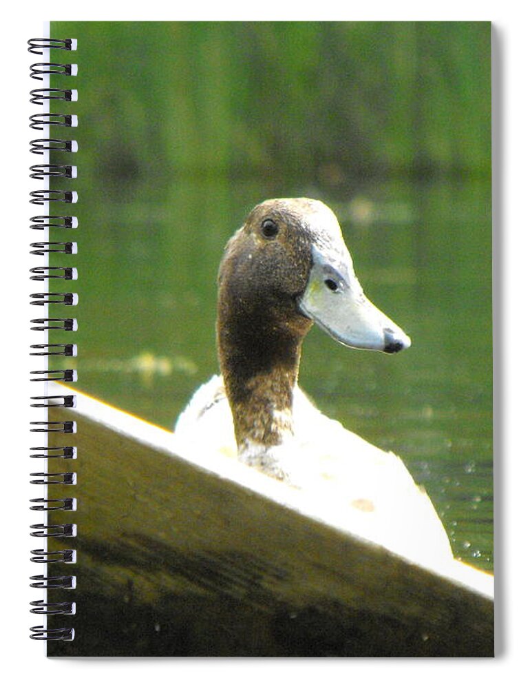 Duck Spiral Notebook featuring the photograph Snooping Duck by Erick Schmidt