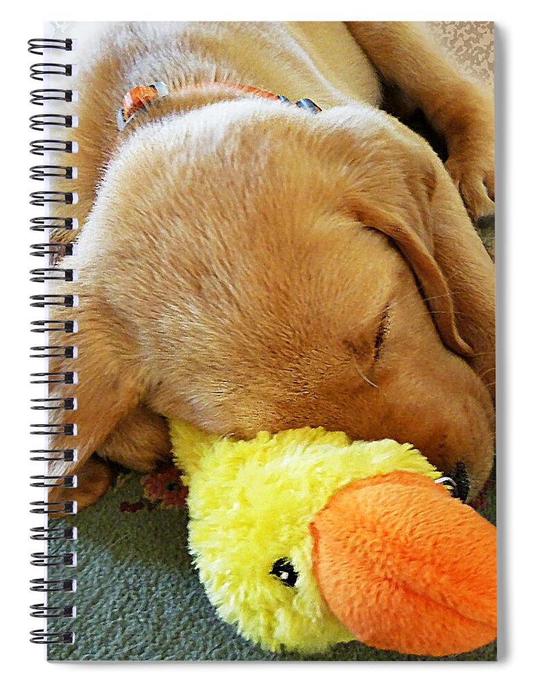 Puppy Spiral Notebook featuring the photograph Snoozing With My Duck Fell Asleep On A Job Puppy by Irina Sztukowski