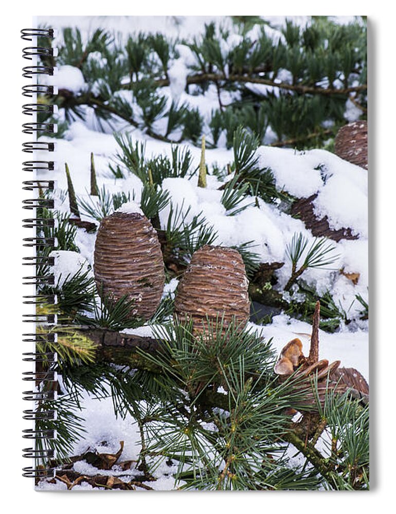 Snow Spiral Notebook featuring the photograph Snow Cones by Spikey Mouse Photography