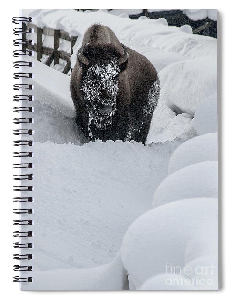 Snow Spiral Notebook featuring the photograph Snow face by Richard Verkuyl