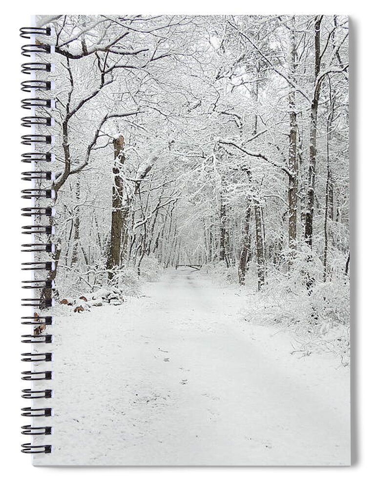 Snow In The Park Spiral Notebook featuring the photograph Snow in the Park by Raymond Salani III
