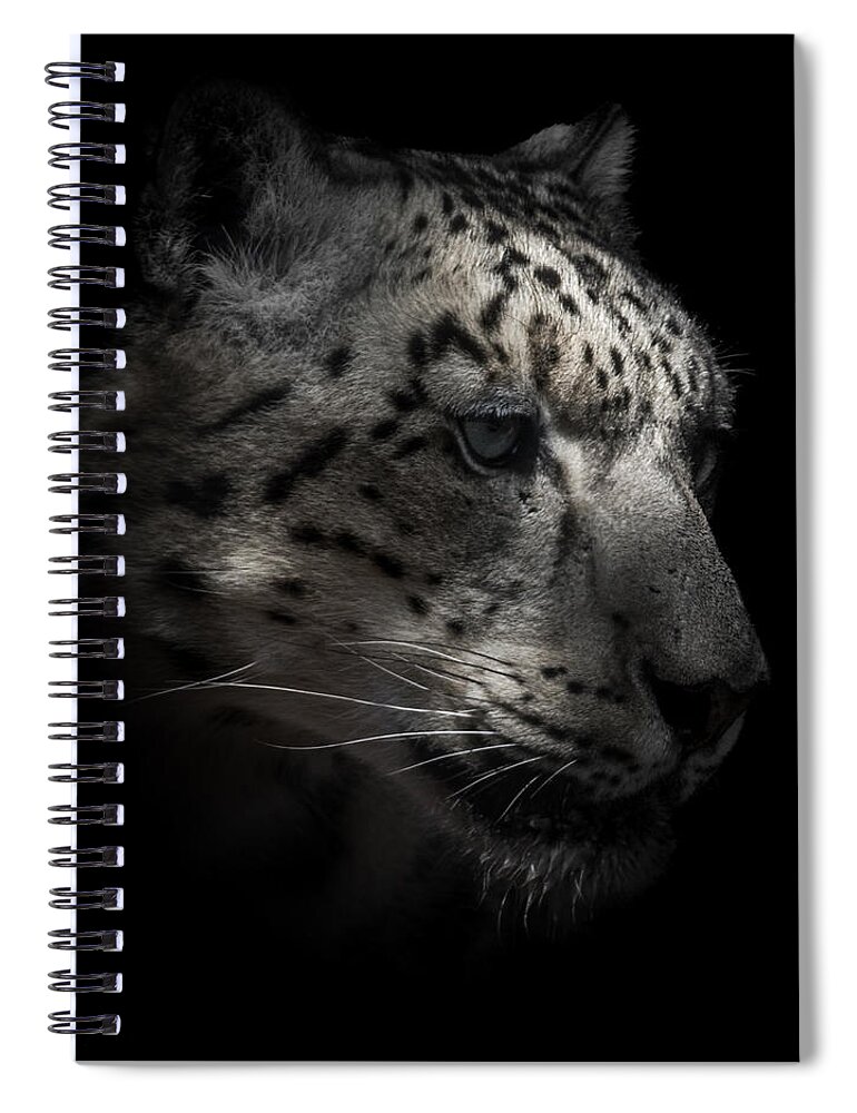 Snow Leopards Spiral Notebook featuring the photograph Snow Leopard Portrait by Ernest Echols
