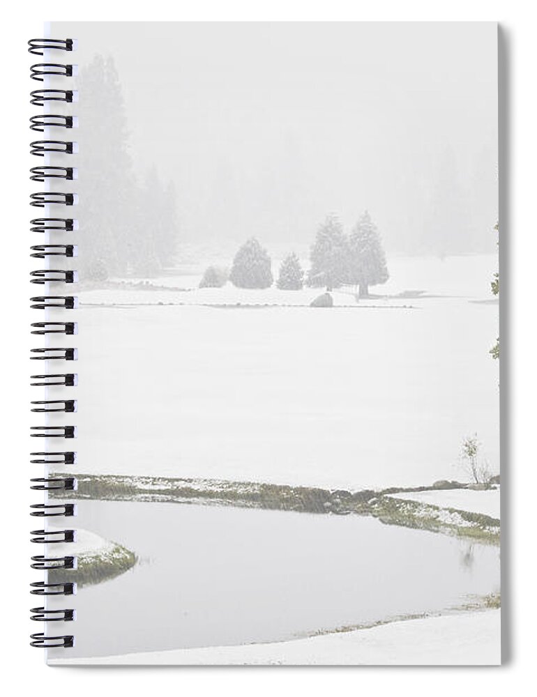 Graeagle Meadows Spiral Notebook featuring the photograph Snow on the Meadows by Mick Burkey