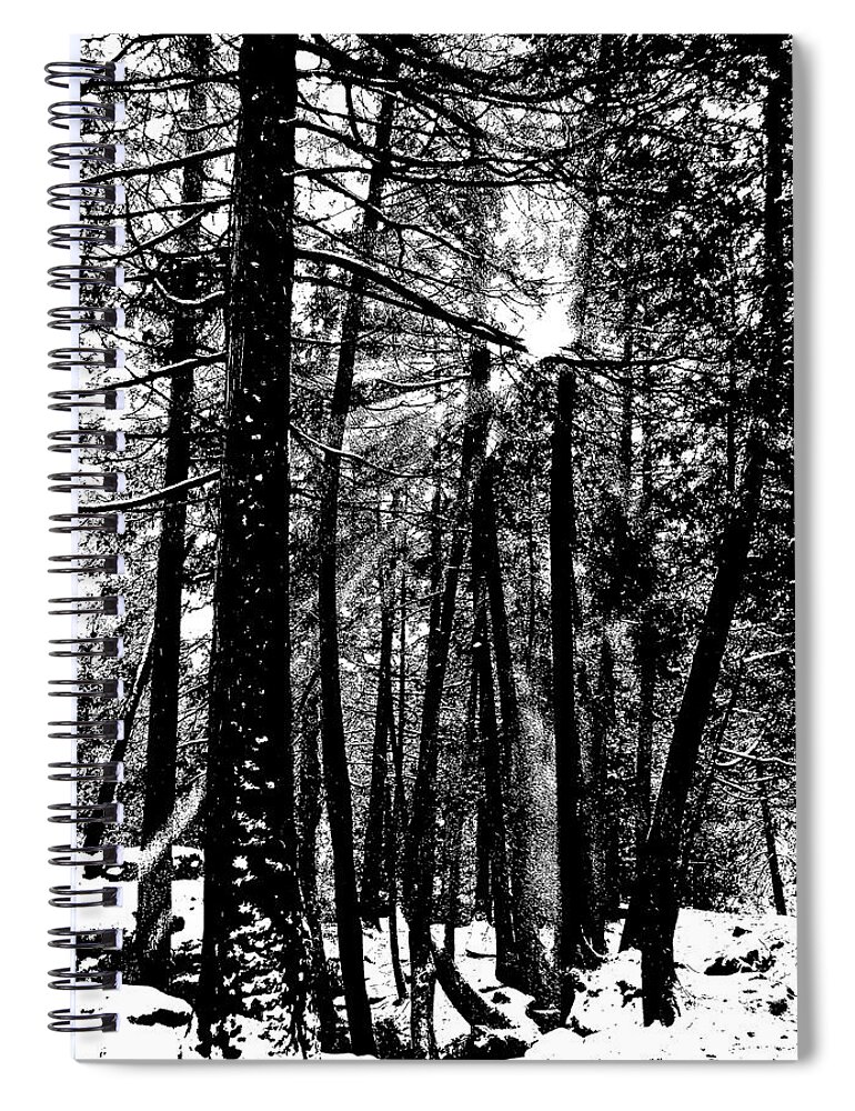 Rockwood Spiral Notebook featuring the photograph Snow Shower by Debbie Oppermann