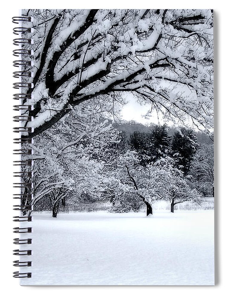 Snow Spiral Notebook featuring the digital art Snowfall by Bruce Rolff