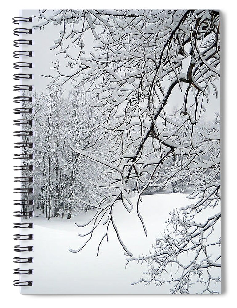 Landscape Spiral Notebook featuring the photograph Snowy Branches by Aimee L Maher ALM GALLERY