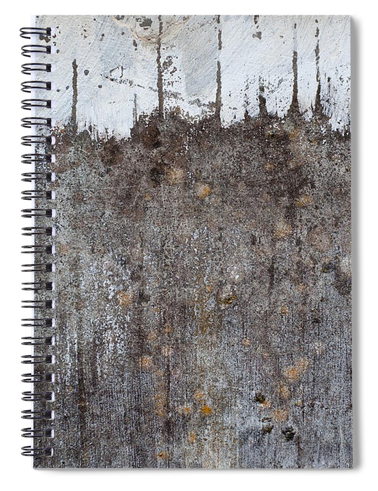 Shades Of Gray Spiral Notebook featuring the photograph Snowy Mountain Top 2 by Jani Freimann