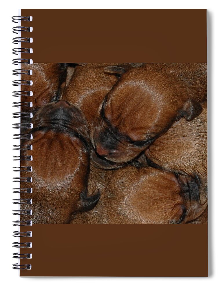 Puppy Spiral Notebook featuring the photograph Snuggle by Mim White