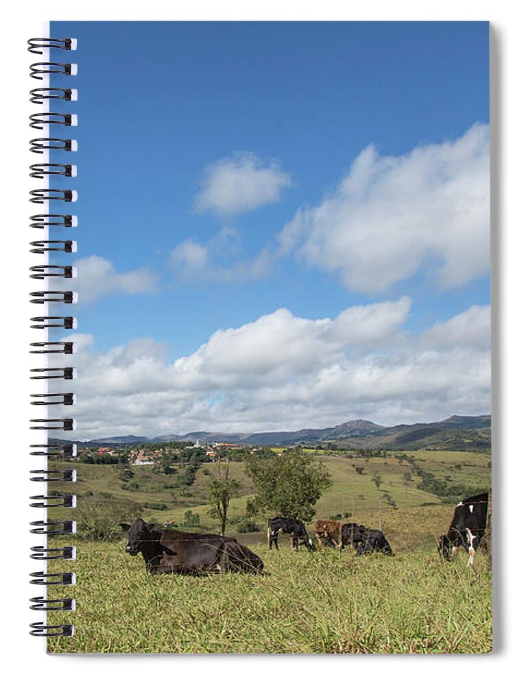 Grass Spiral Notebook featuring the photograph São José Do Barreiro by E.hanazaki Photography