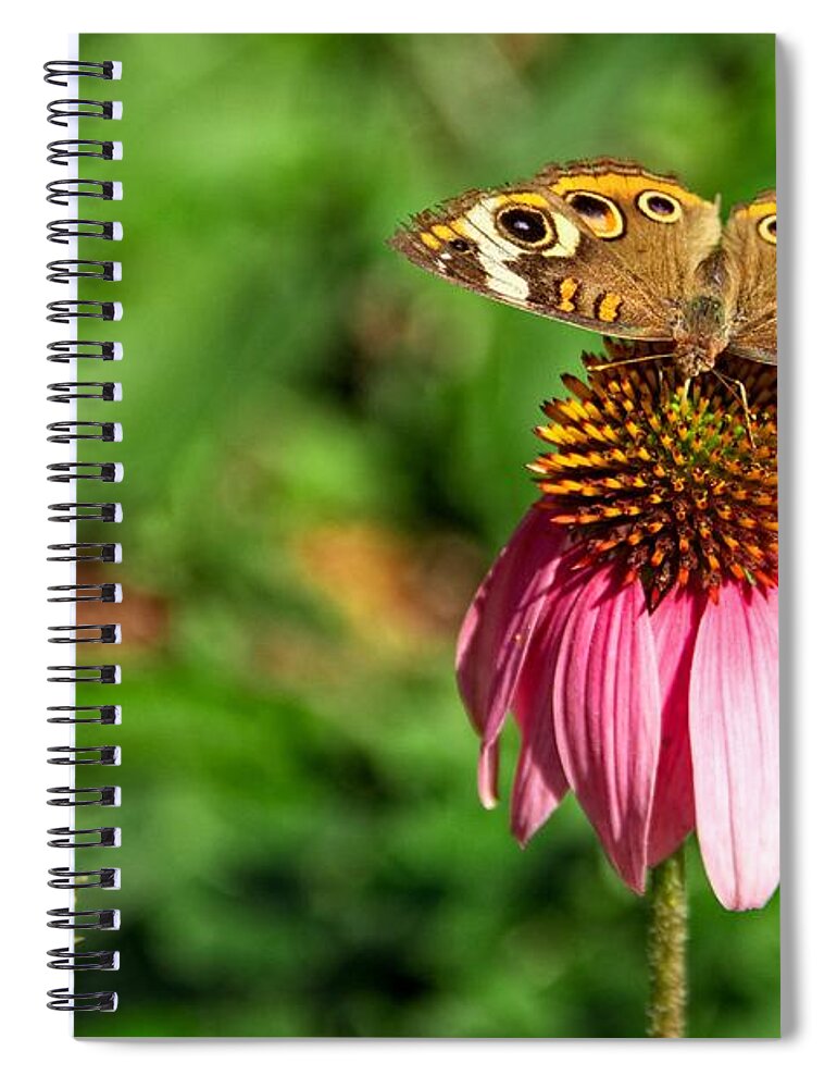 Insects Spiral Notebook featuring the photograph Soaking up the Sun by Dave Files
