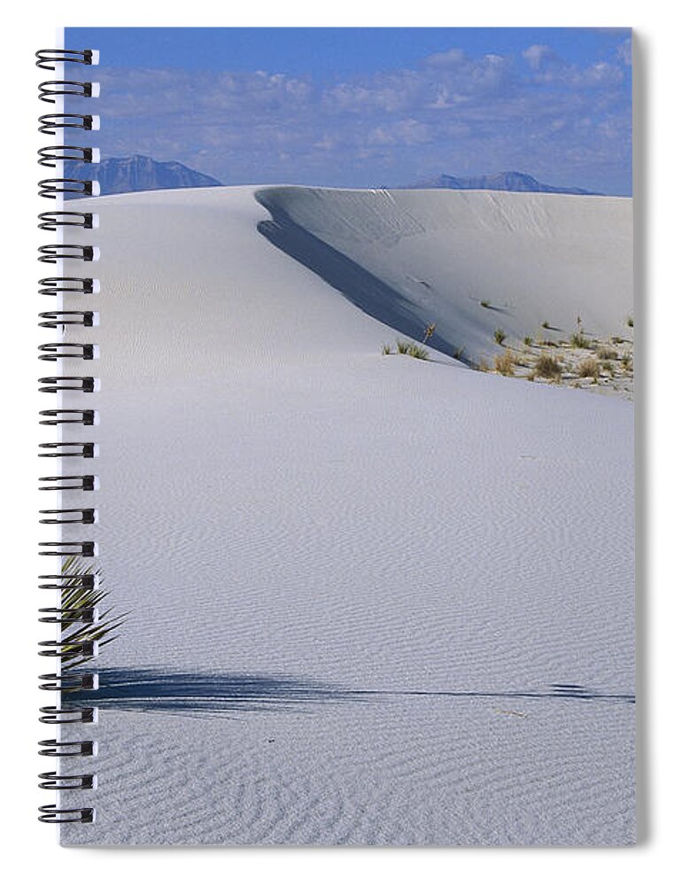 00198313 Spiral Notebook featuring the photograph Soaptree Yucca at White Sands NM by Konrad Wothe