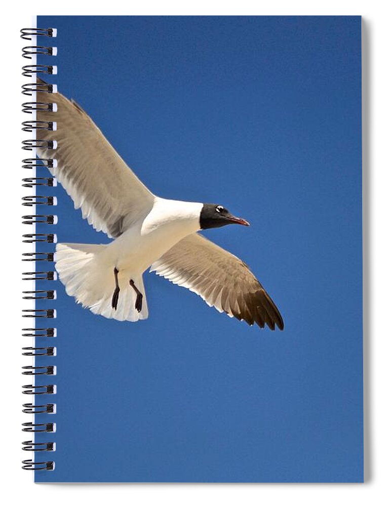 Seagull Print Spiral Notebook featuring the photograph Soaring Above the Sea by Kristina Deane