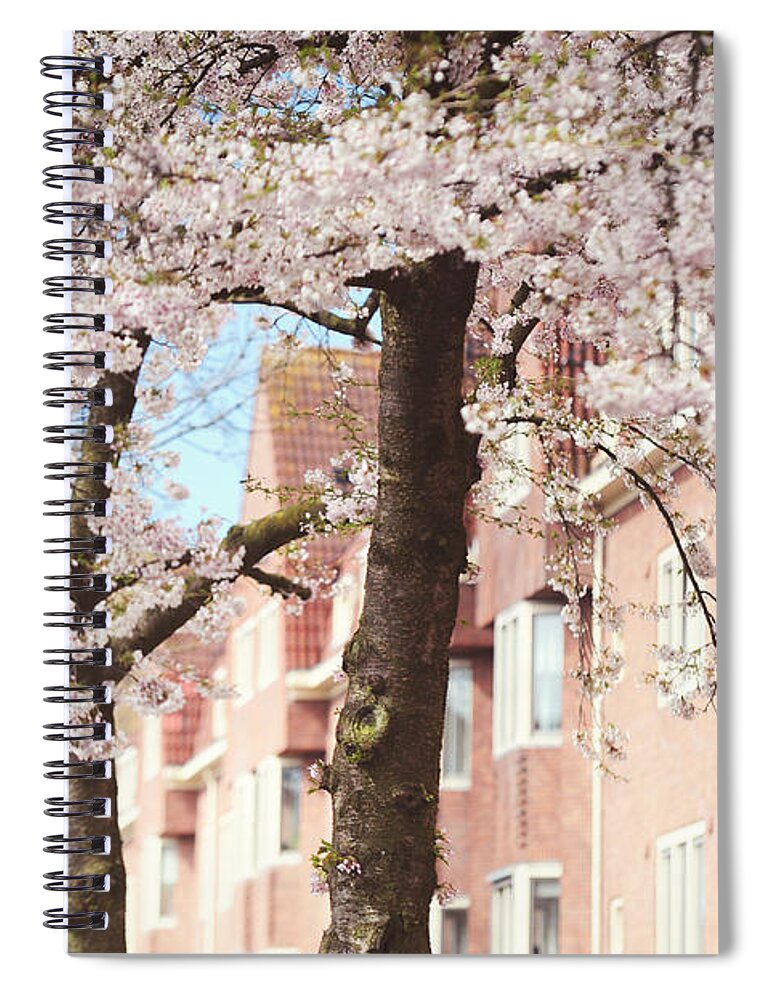 Spring Spiral Notebook featuring the photograph Soft Dreams. Pink Spring in Amsterdam by Jenny Rainbow