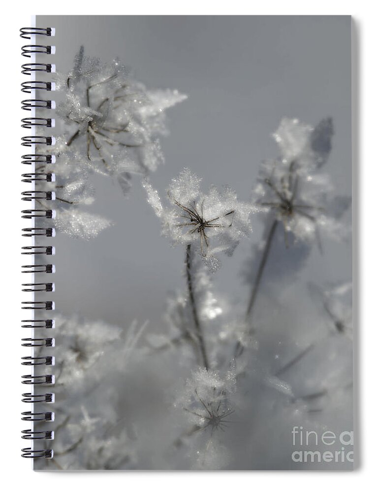 Nina Stavlund Spiral Notebook featuring the photograph Soft Winter Whisper.. by Nina Stavlund