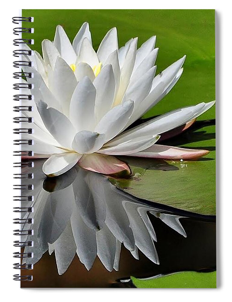 Flowers Spiral Notebook featuring the photograph Softly by Kathy Baccari