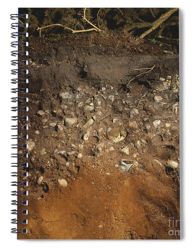 Earth Sciences Spiral Notebook featuring the photograph Soil In Acidic Heathland by Frank Greenaway / Dorling Kindersley