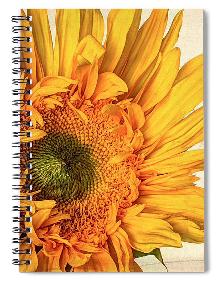 Summer Spiral Notebook featuring the photograph Sol by Heidi Smith