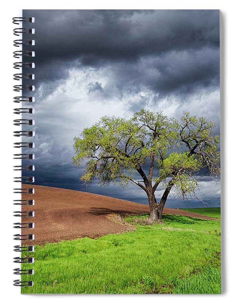 Tranquility Spiral Notebook featuring the photograph Sole Witness To The Drama by Sankar Salvady