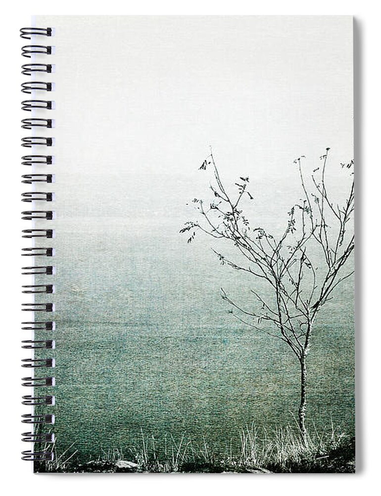 Tree Spiral Notebook featuring the photograph Solitary Mindfulness by Randi Grace Nilsberg