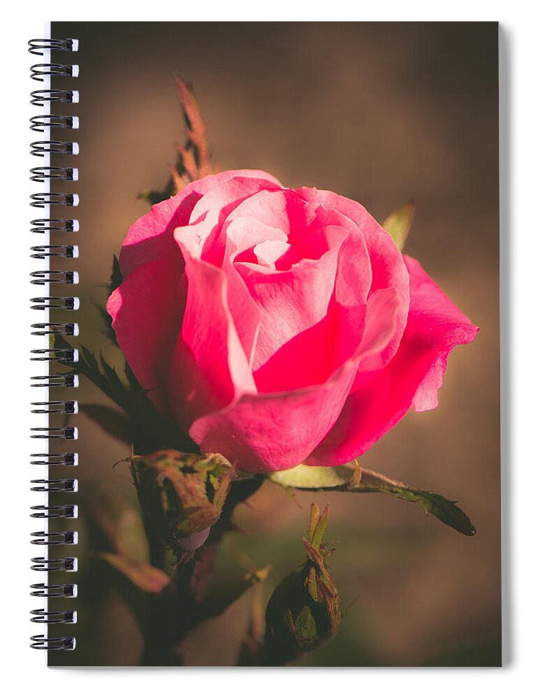 Rose Spiral Notebook featuring the photograph Solitude by Sara Frank