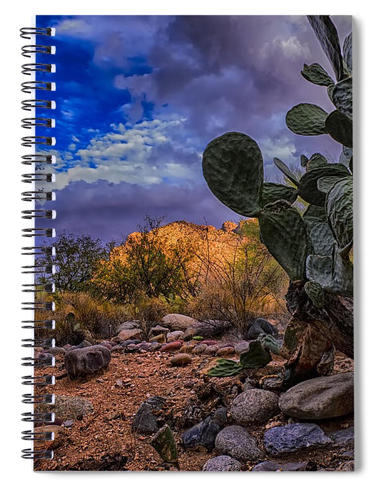 2013 Spiral Notebook featuring the photograph Sonoran Desert 54 by Mark Myhaver